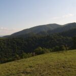 promenade-montagnes-roumanie