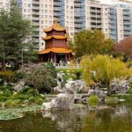 Sydney_Australie_Chinese_Garden_of_Friendship (1)