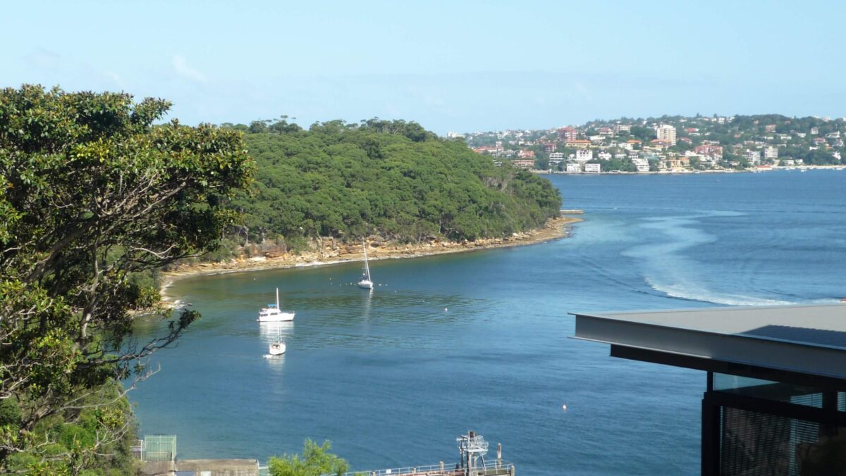 vue-sur-sydney-du-zoo-de-taronga