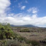 el-puertito-cote-terre-479x360