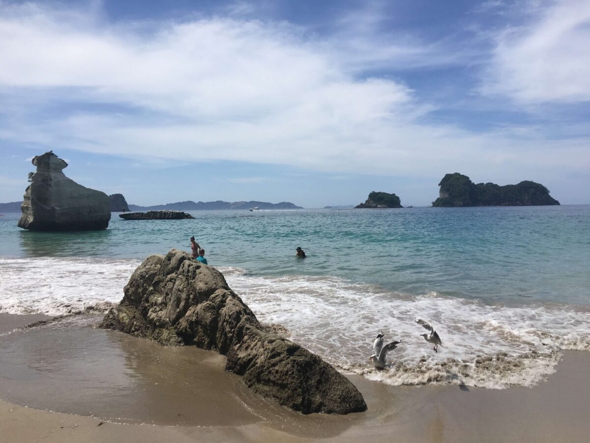plages-et-rochers-coromandel