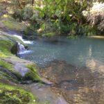 goldies-bush-rando-riviere-traverser