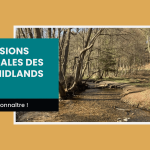 Expressions regionales des West Midlands