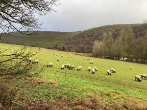 Peak District paysage