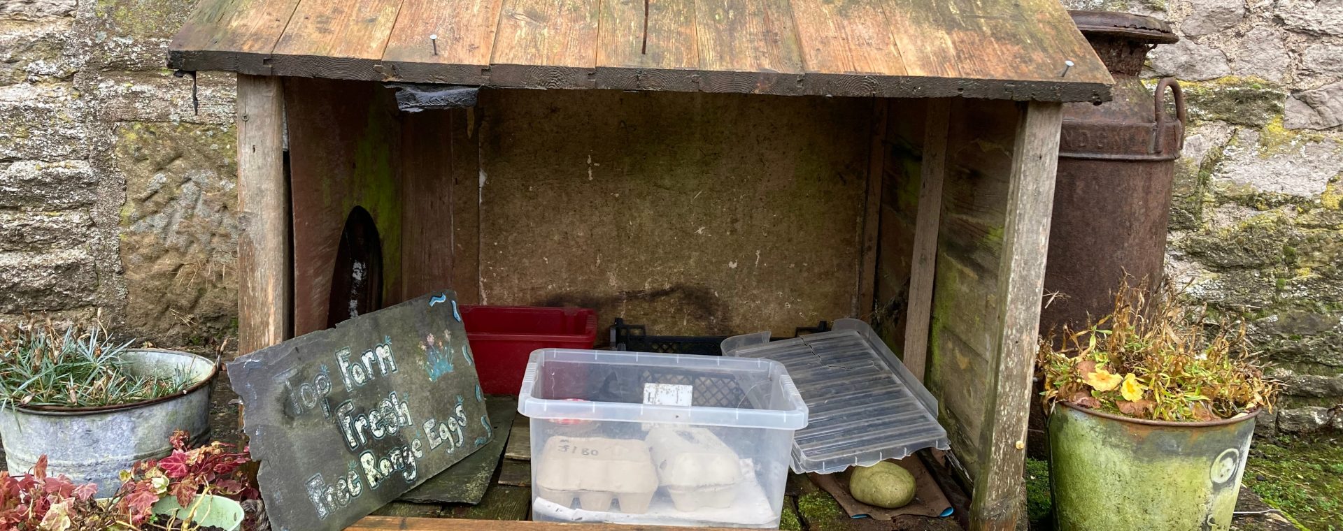 boite-a-honnetete-oeufs