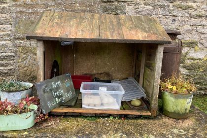 boite-a-honnetete-oeufs