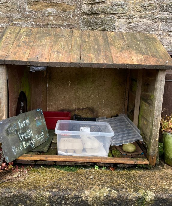 boite-a-honnetete-oeufs